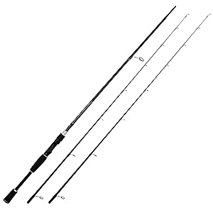 Twin-tip Spinning Rod