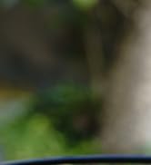 bicycle computer wireless