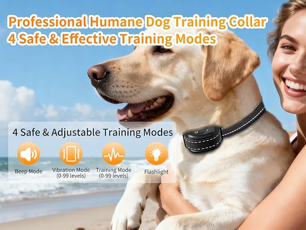 dog training collar with remote 6