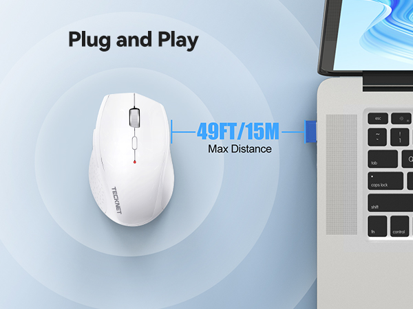 mouse