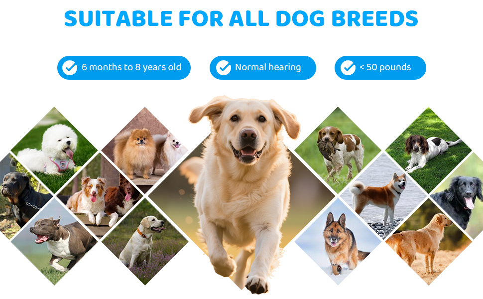 SAMULE Ultrasonic Dog Bark Deterrent Device