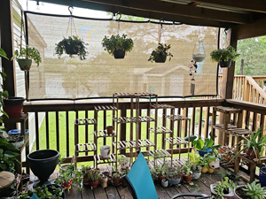 patio shade
