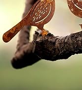 GWHOLE 4Pcs Rusty Metal Birds, Outdoor Decor Garden Bird Statue Metal Yard Art Ornaments for Gard...