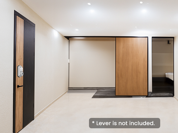 smart keyless entry door lock