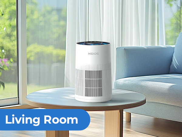 air purifiers for living room