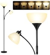 Floor Lamp, Dimmable Standing lamp, Stepless Dimming Brightness, Included 9W and 5W LED Bulbs, In...