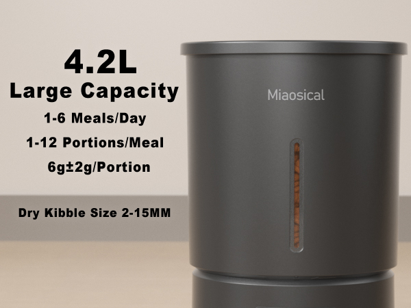 automatic dual cats feeder