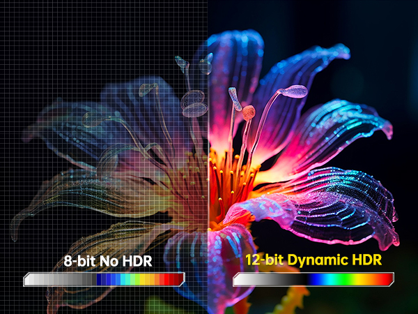 dynamic hdr