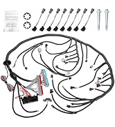 ROADGIVE LS Swap Standalone Harness with 4L60E Transmission, Engine Wiring Harness Compatible wit...