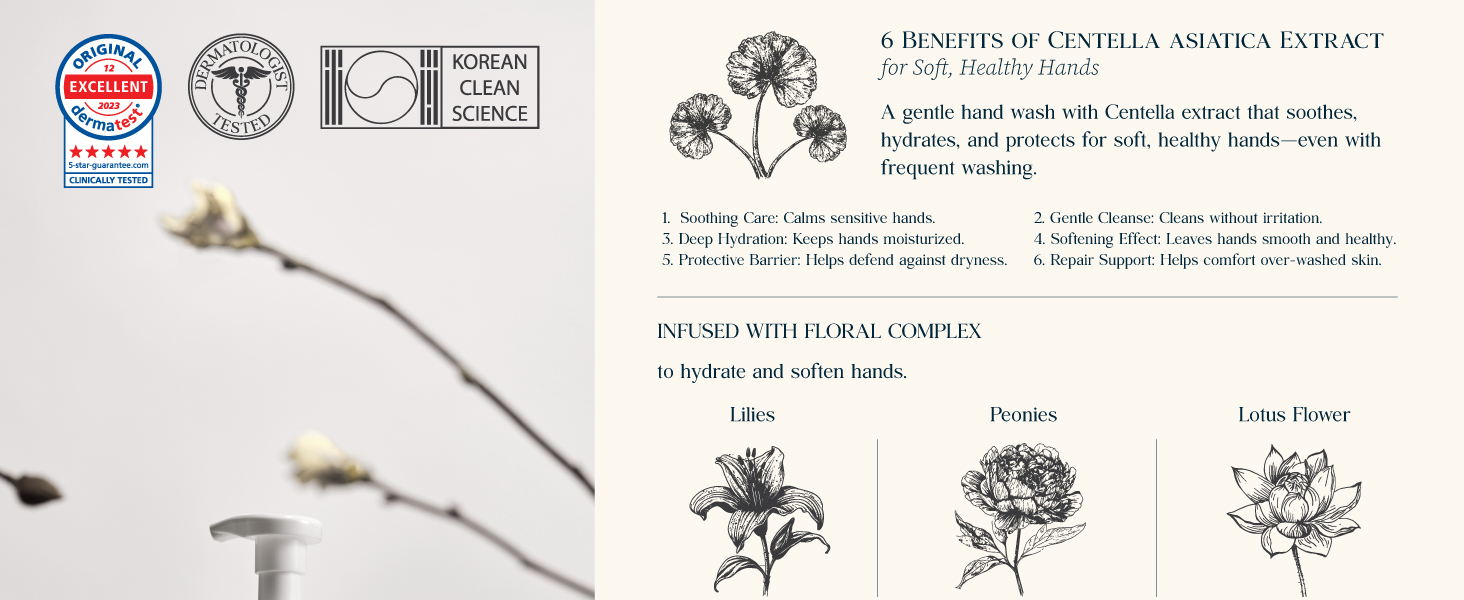 6 Benefits of Centella asiatica Extract for Soft, Healthy Hands
