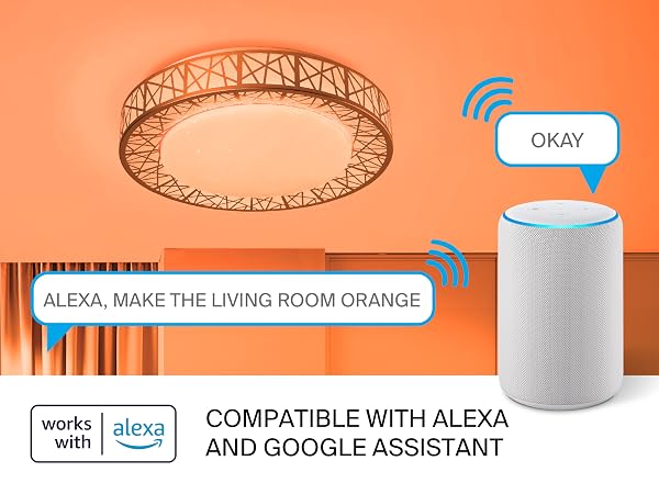 Alexa Google Assistant