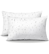 OTOSTAR Pack of 2 Premium Waterproof Pillows Inserts, 12 x 20 Outdoor Decorative Throw Pillow Ins...