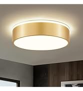 Pevfah Gold Flush Mount Ceiling Light Fixture, Round LED Light Fixture, Modern Dimmable Bathroom ...