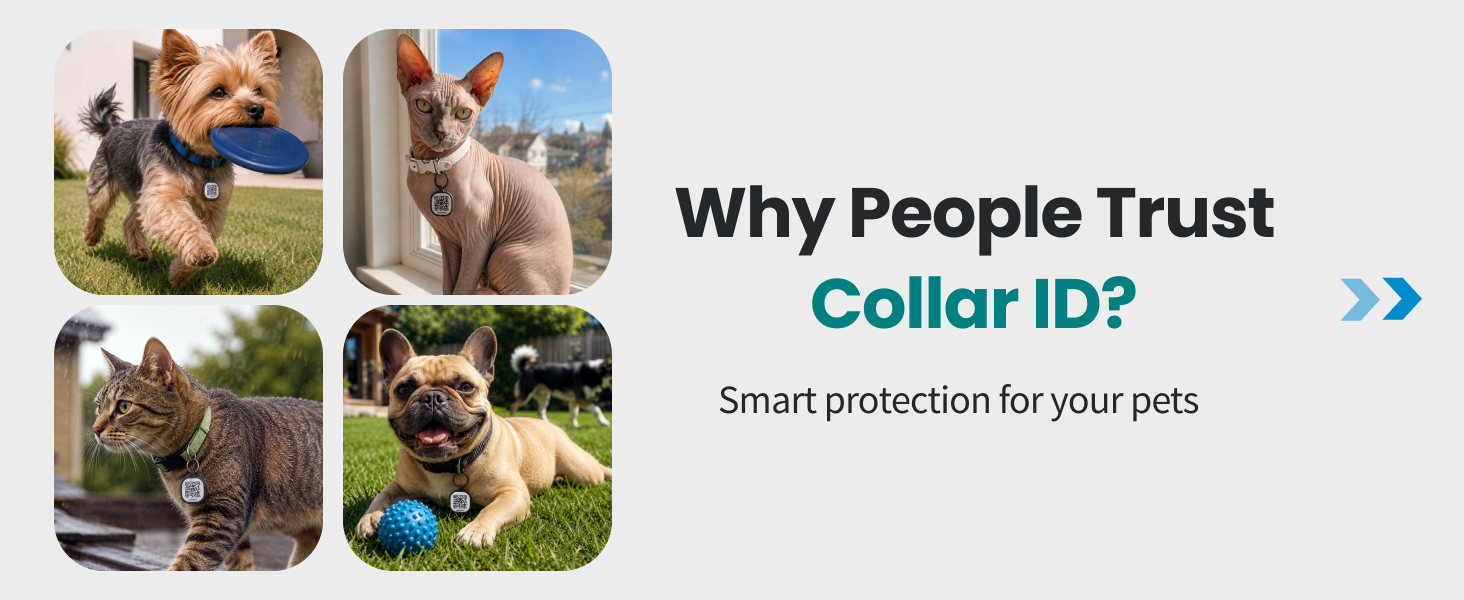 link collar id