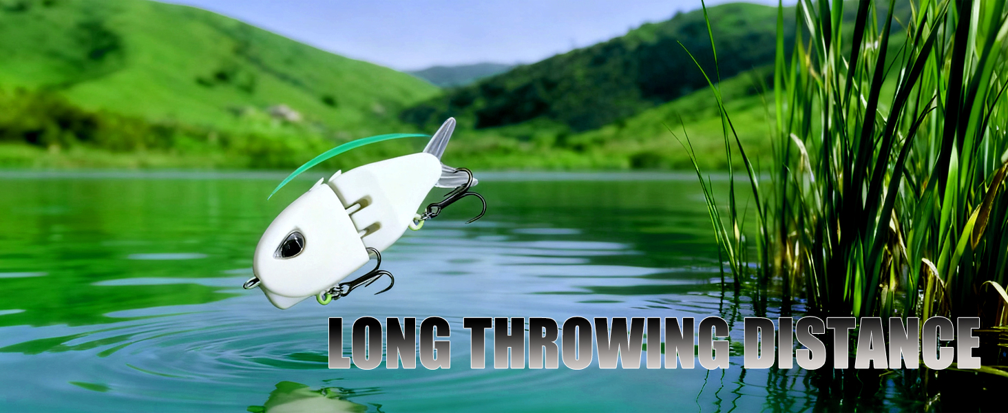 2Pcs Mini Glide Bait for Bass Fishing