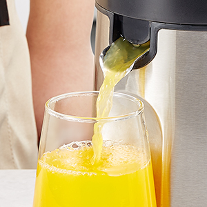 Electric Citrus Juicer