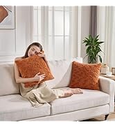 HKMR Faux Fur Fluffy Pillow Cases,Set of 2 Decorative Throw Pillow Cover,Ultra Soft Furry Pillow ...