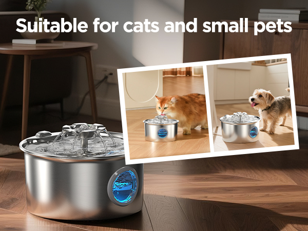 cat fountain stainless steel