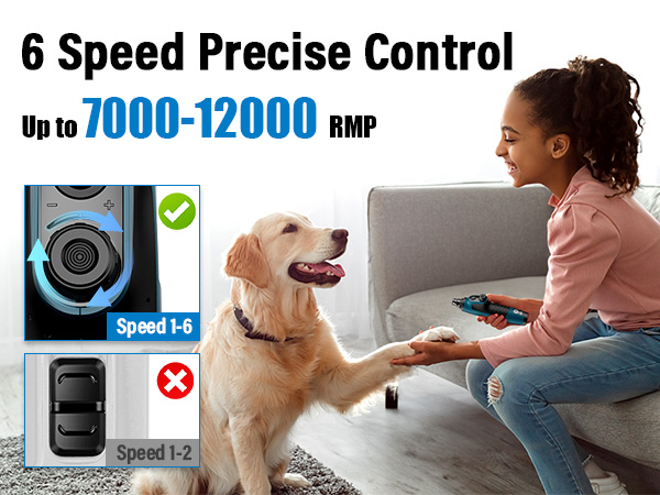 6 Speed Control