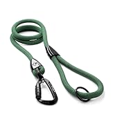 dog leash