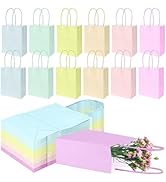BadenBach 30 Pack Extra Small Pastel Paper Gift Bags with Handles, 5.9" x 4.7" x 2.4" Assorted Co...