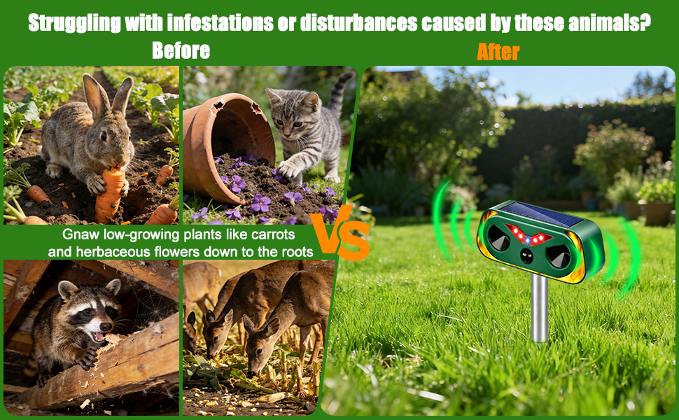 Ultrasonic Animal Repellent Outdoor