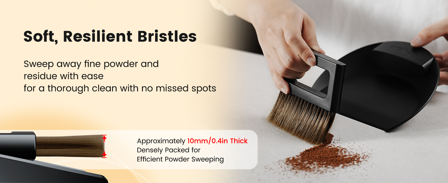 Dustpan and Brush Set