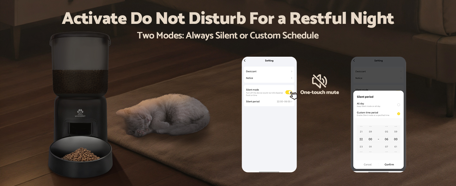 Automatic Cat Feeder