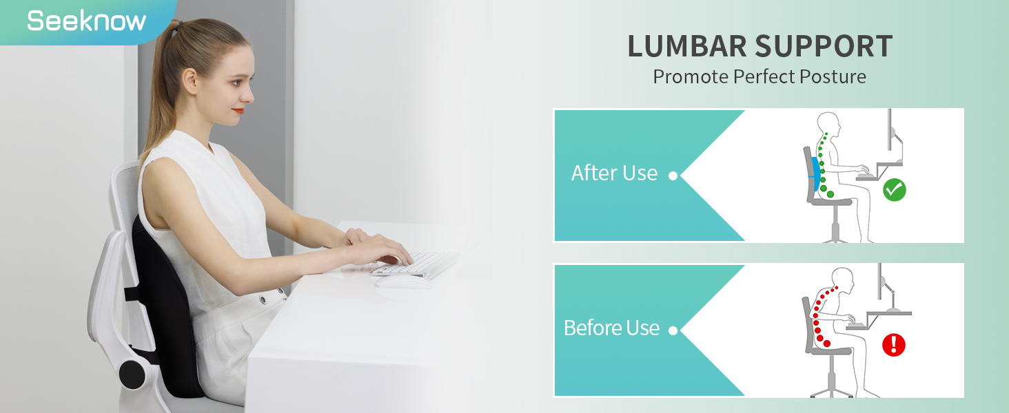 lumbar Support Pillow for Office Chair