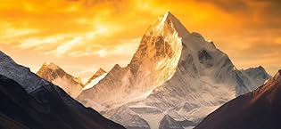 https://m.media-amazon.com/images/S/aplus-media-library-service-media/9c40d205-9f34-49e1-8b3c-c89d41b690cf.__CR0,109,928,427_PT0_SX315_V1___.jpg