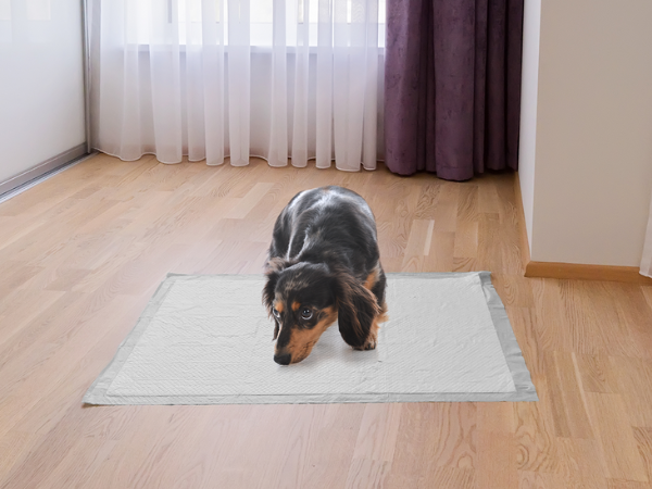 new puppy essentials puppy potty training pet pads for dogs puppy pee pads for dogs training pads