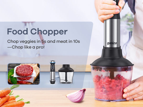 hand held food processor