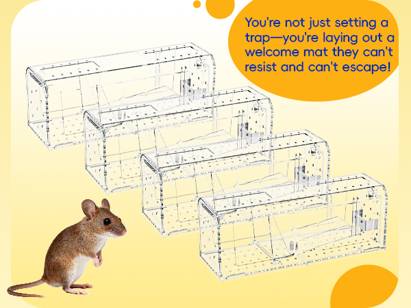 humane mouse traps indoor for home