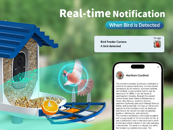 camera bird feeder