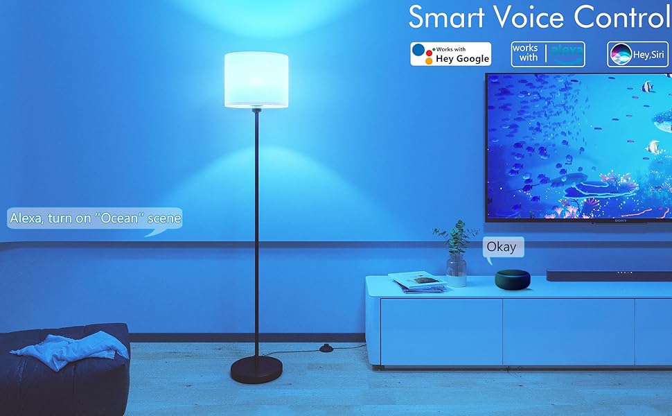 Smart Voice control