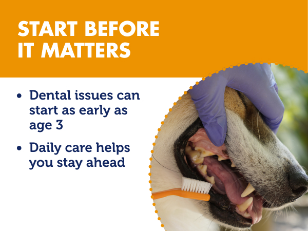 Start before it matters