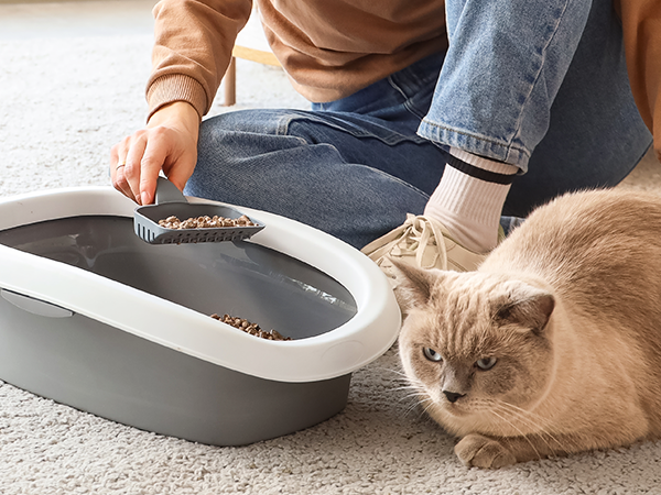 air purifiers for home pets