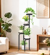 Tall Plant Stand