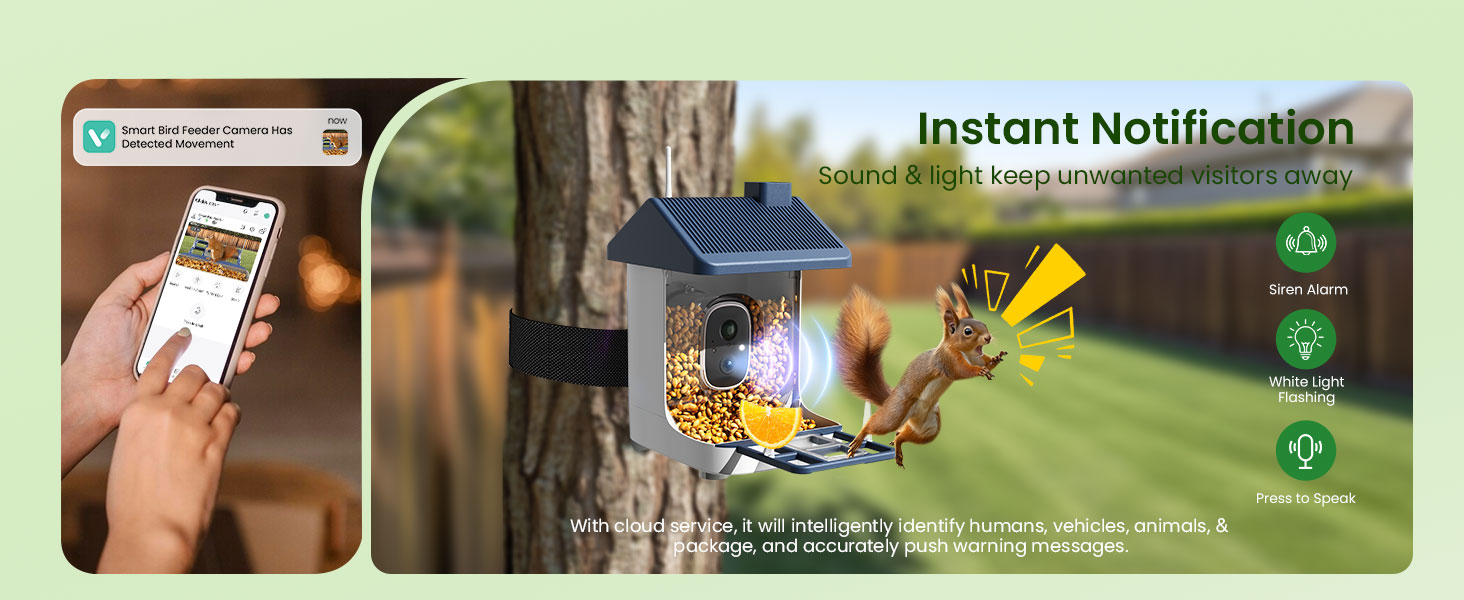 camera bird feeder