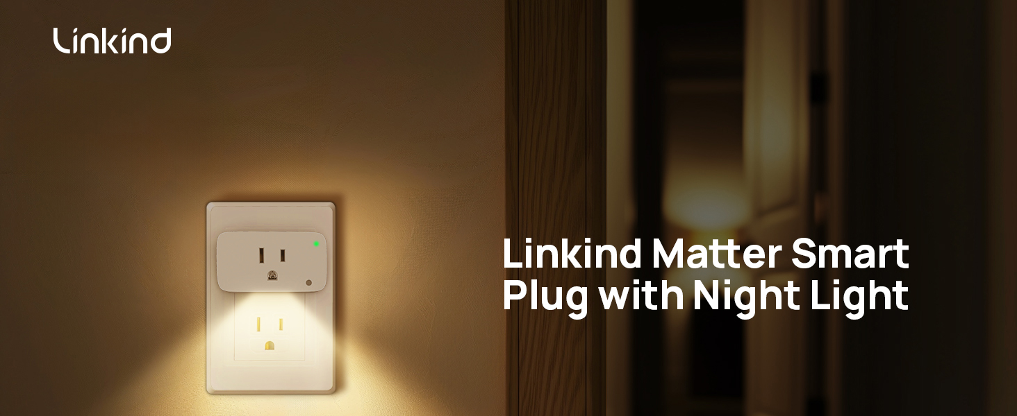 smart plug