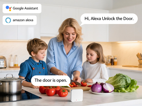 smart deadbolt