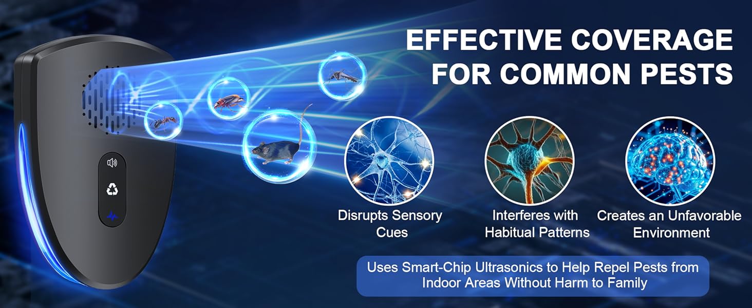 Functional upgrades in 2025