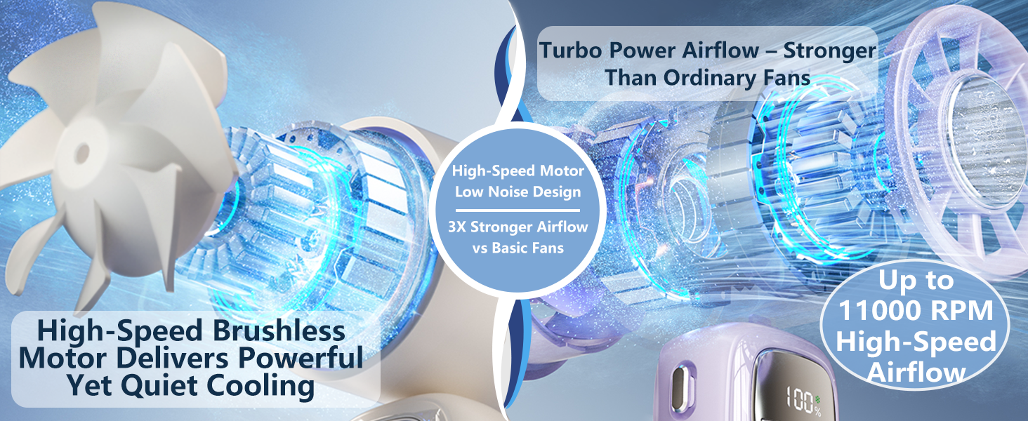 Brushless Motor