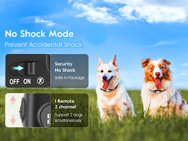 shock collar large breed