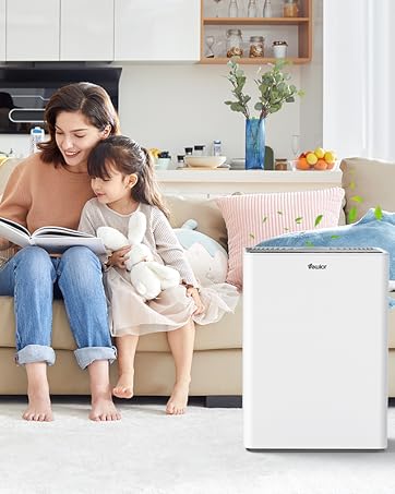 large room air purifier