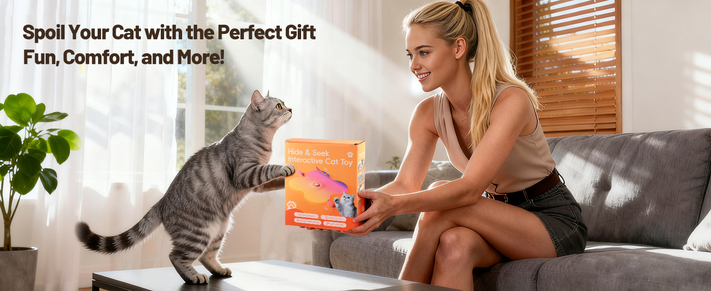cat toys interactive