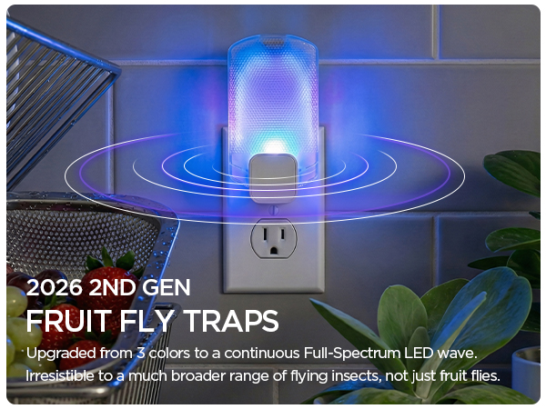 fly killer gnat killer plug in best safe electric flying insect trap fruit fly bug blue UV light