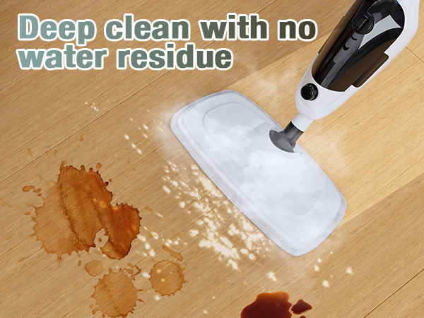 steam cleaner for home