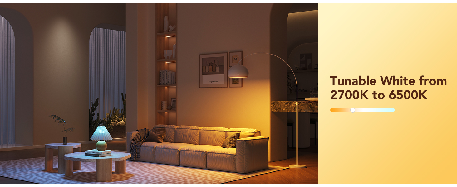 1000LM WiFi Bluetooth Color Changing Light Bulbs