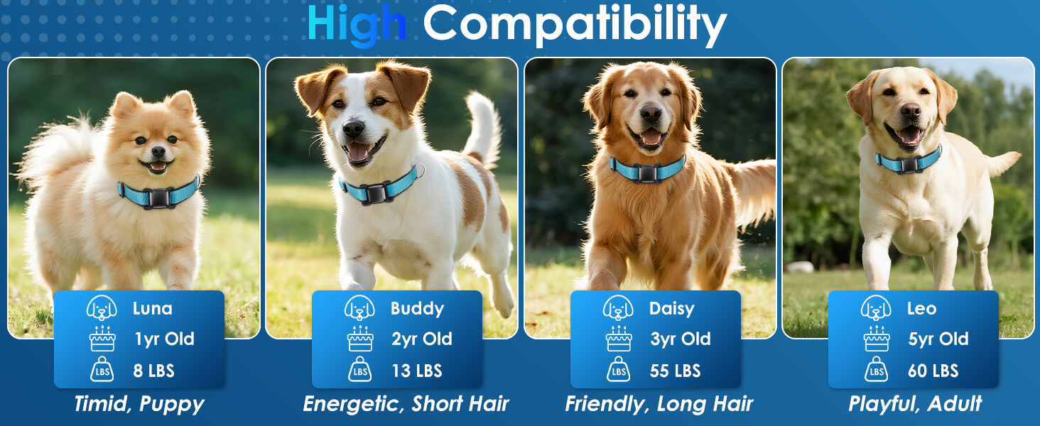 Relaxants Carrying Case